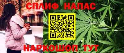 дживик Кингисепп