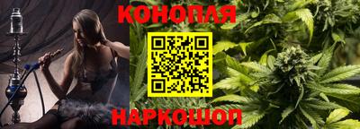 дживик Кингисепп