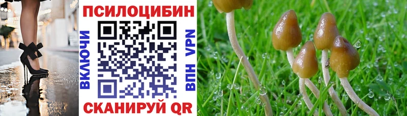 дарнет шоп  Котовск  Галлюциногенные грибы MAGIC MUSHROOMS 