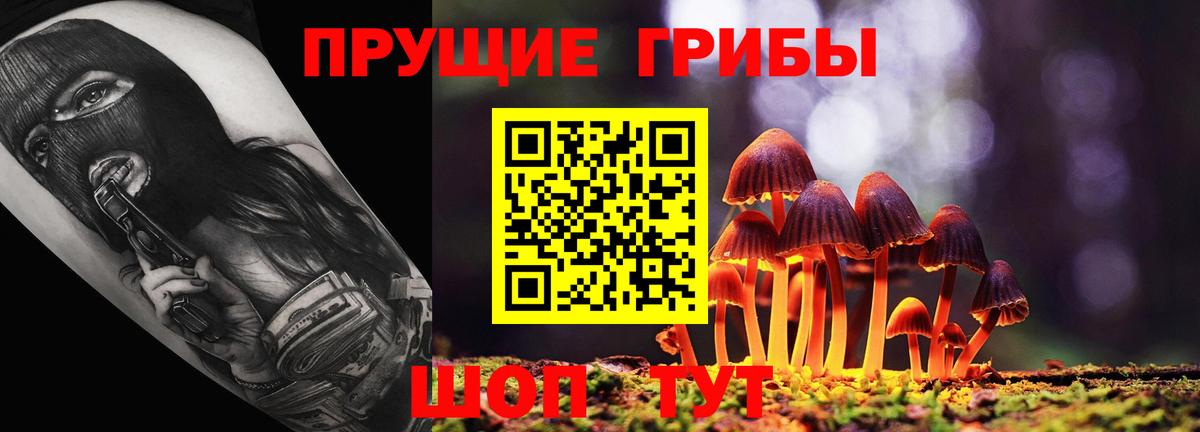 Котовск  Галлюциногенные грибы Psilocybine cubensis  Вход с VPN  Галлюциногенные грибы MAGIC MUSHROOMS 